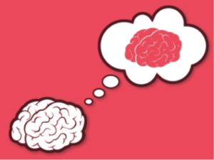 Cartoon of a brain thinking about a brain