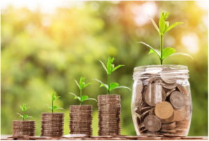 photo of stack of coins with each stack having more, and each stack having a little plant appear to be growing out of it.