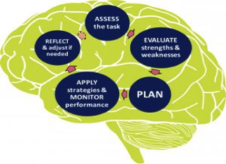 drawing of a human brain with a 5-step cycle overlaid: Plan, Apply strategies and monitor, Reflect and adjust if needed, Assess the task, Evaluate strengths and weaknesses