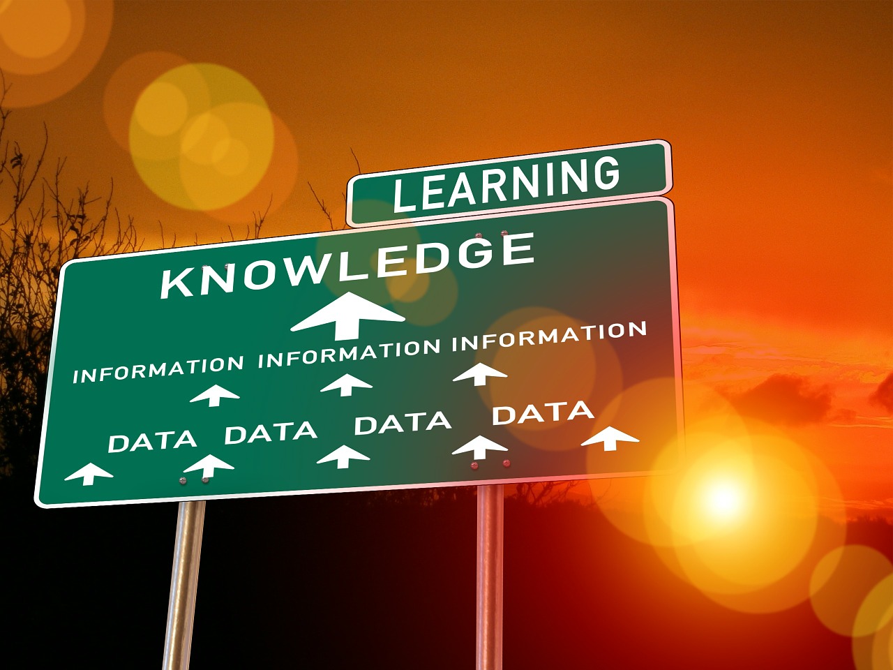 road sign with words "data" pointing to words "information" pointing to word "knowledge" with the word "learning above