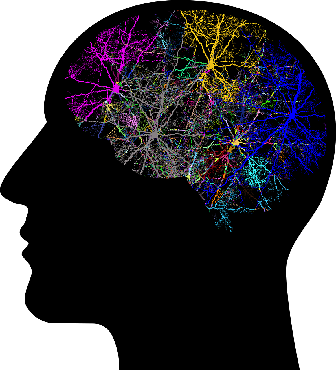 Black silhouette of a human head with colored neurons inside it